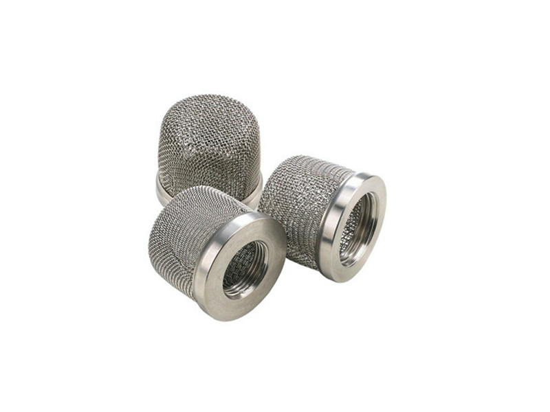 Stainless Suction Strainer
